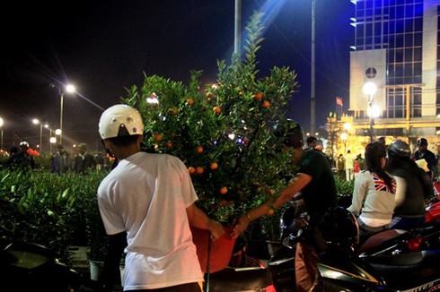 Bán tháo hoa cảnh Tết trước Giao Thừa - ảnh 13